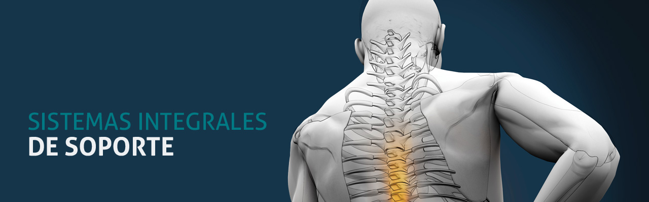 sistemas integrales de soporte